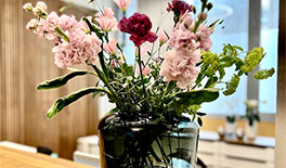 Praxis - München - Thersienhöhe -  Tina Assmann