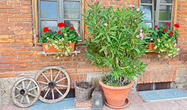 Ausbau einer Scheune und eines Kuhstalles zu Wohnungen - Tina Assmann